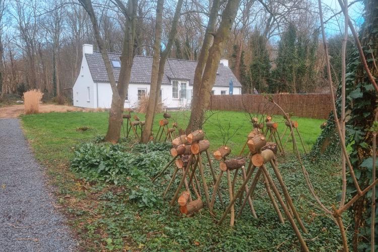 Tuin